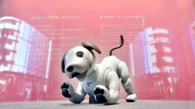 Nostalgeek : l'histoire du chien robot Aibo de